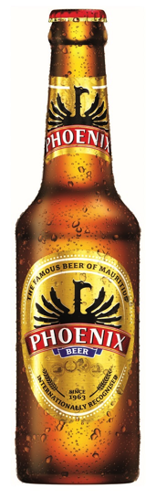 Beer 330mL Carton