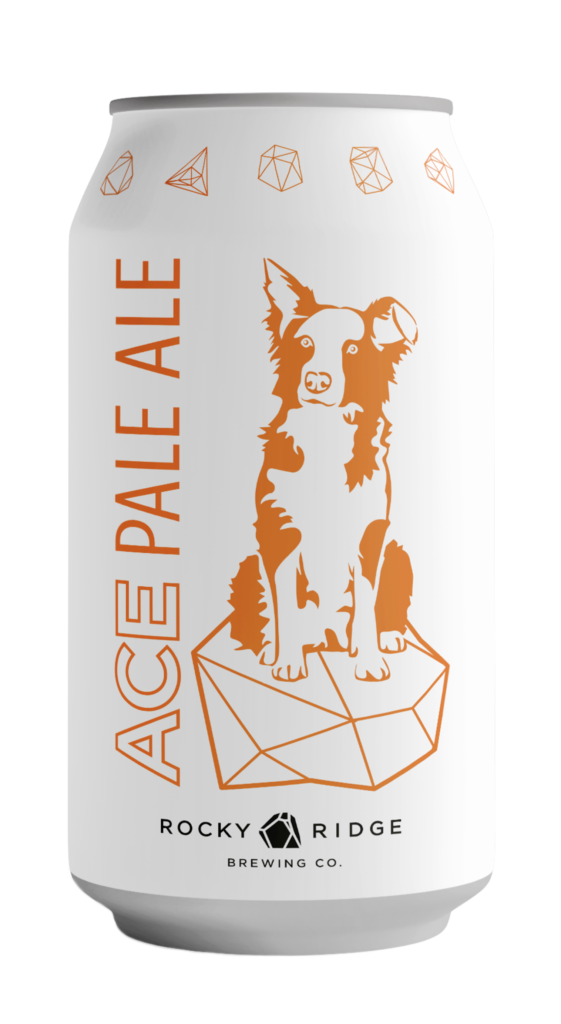 Ace IPA India Pale Ale 6 Pack