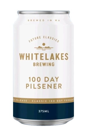 100 Day Pilsner Can 6 Pack