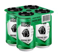 Jindong Juicy 500mL 4 Pack